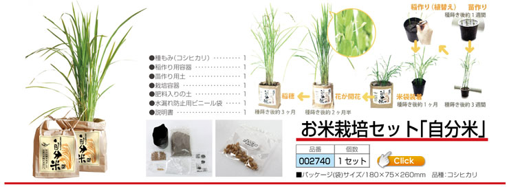 お米栽培セット(自分米)